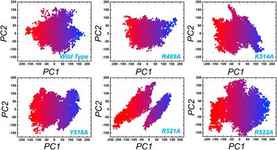 Structural and Biophysical Investigation of the Key Hotspots on the Surface of Epstein–Barr Nuclear Antigen 1 Essential for DNA Recognition and Pathogenesis